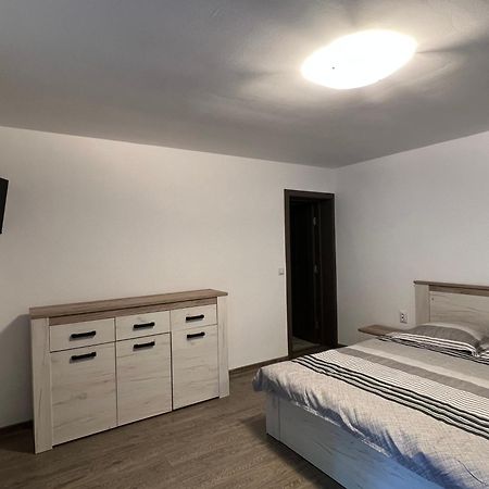 Villa Casa Andrei à Cîrţişoara Extérieur photo