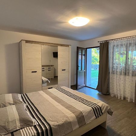 Villa Casa Andrei à Cîrţişoara Extérieur photo