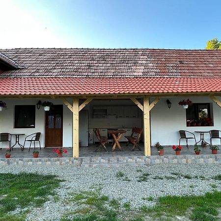 Villa Casa Andrei à Cîrţişoara Extérieur photo