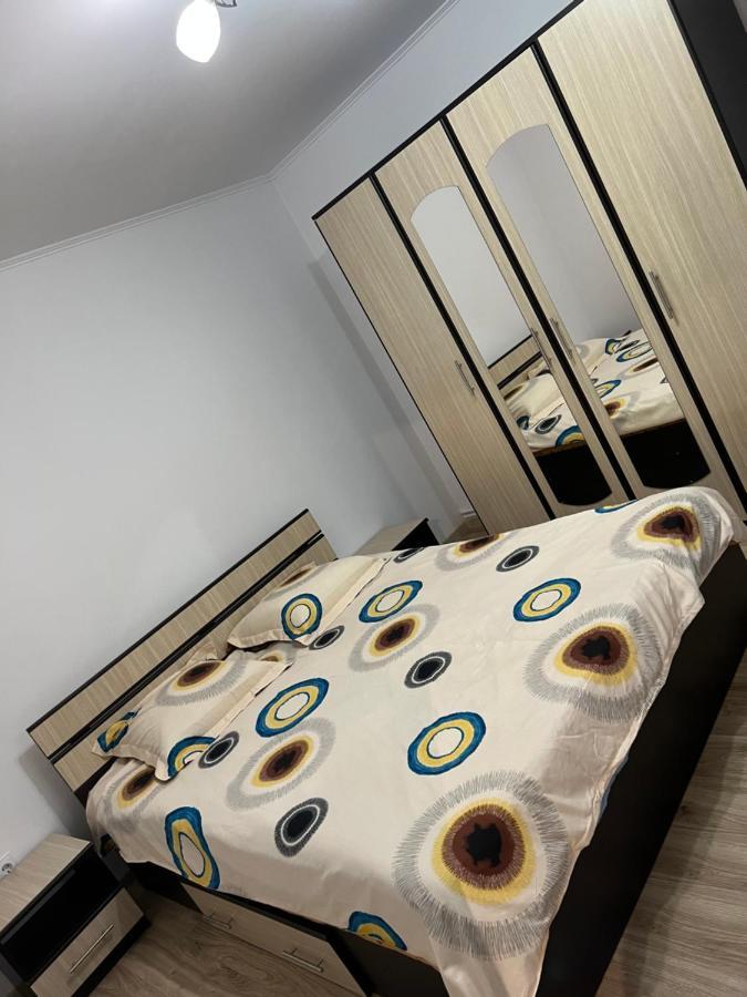 Villa Casa Andrei à Cîrţişoara Extérieur photo