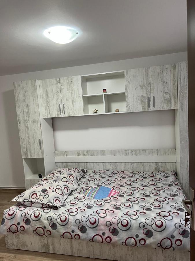 Villa Casa Andrei à Cîrţişoara Extérieur photo