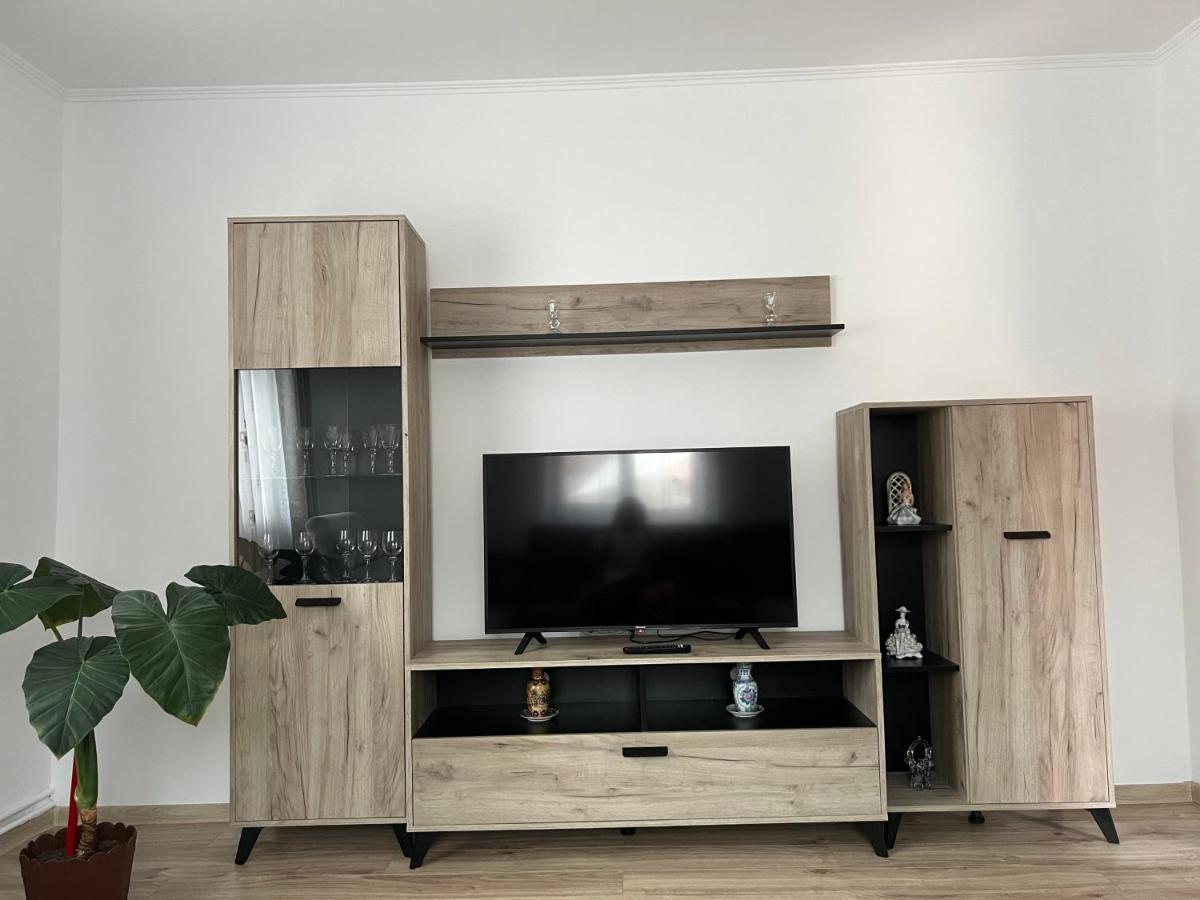 Villa Casa Andrei à Cîrţişoara Extérieur photo