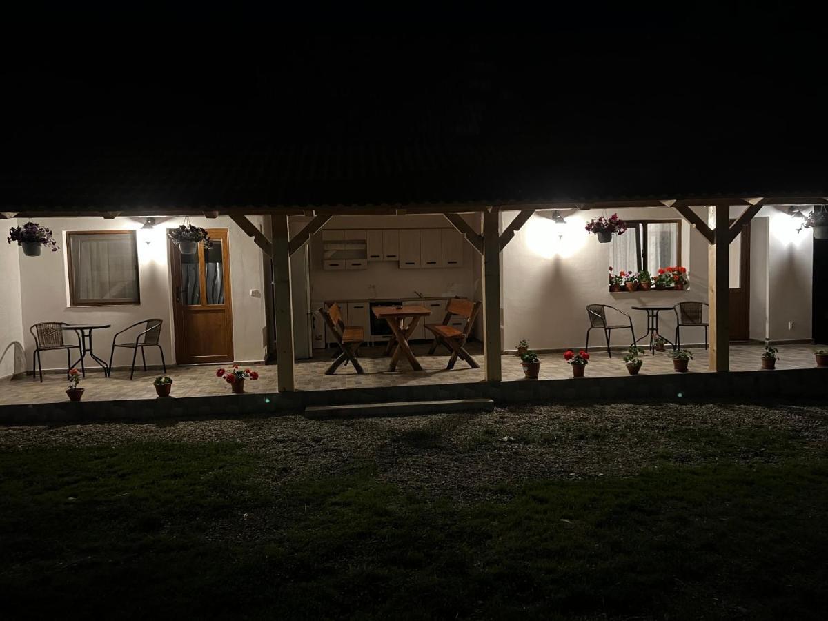 Villa Casa Andrei à Cîrţişoara Extérieur photo