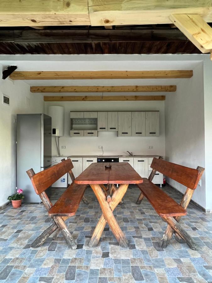 Villa Casa Andrei à Cîrţişoara Extérieur photo