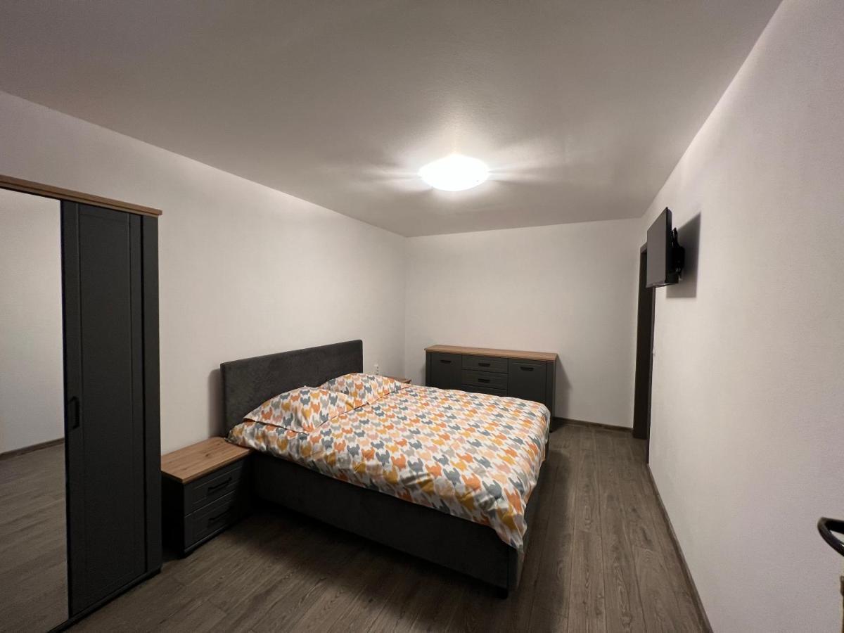Villa Casa Andrei à Cîrţişoara Extérieur photo