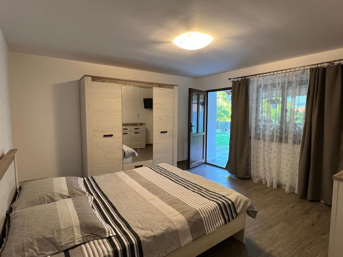 Villa Casa Andrei à Cîrţişoara Extérieur photo