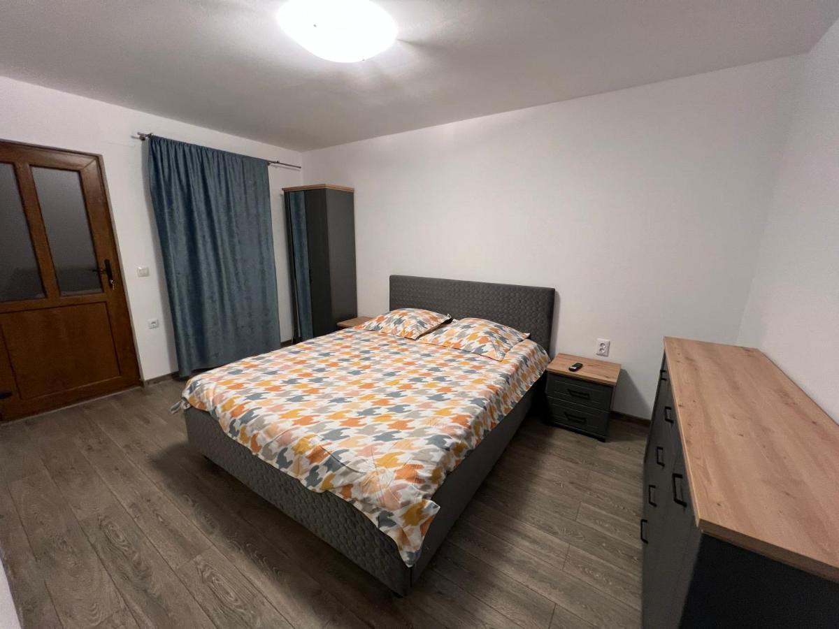 Villa Casa Andrei à Cîrţişoara Extérieur photo