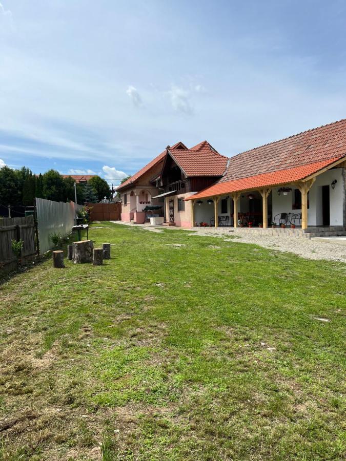 Villa Casa Andrei à Cîrţişoara Extérieur photo