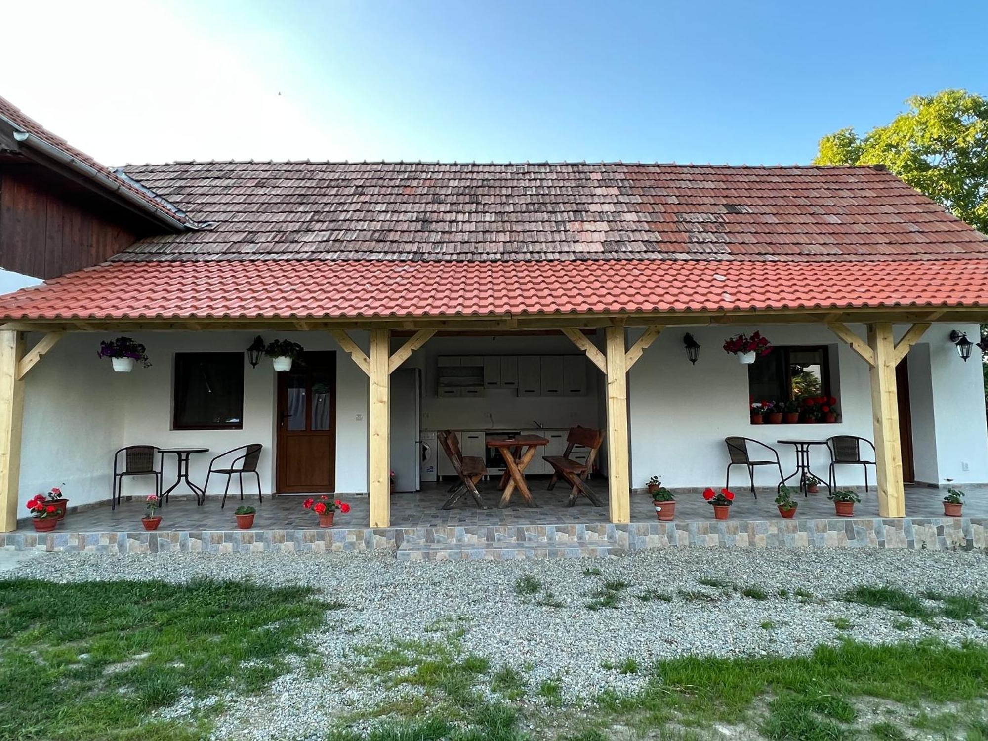 Villa Casa Andrei à Cîrţişoara Extérieur photo